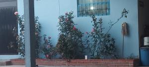 Campestre San Román