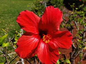 Turtle Paradise - King bed, AC, Across from Beach