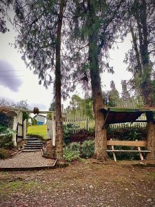 Cabaña Blanca Cielo Abierto