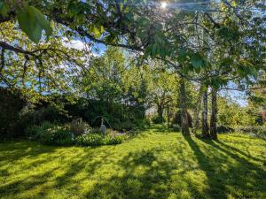 Chambres dhôtes Berry: Nature et détente près des Châteaux de la Loire - FR-1-591-690