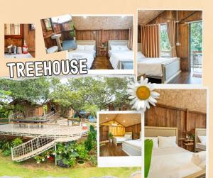 Greenfield Farmstay Vung Tau