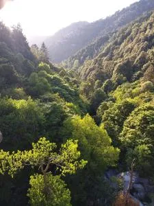 Paradise Hills Dalhousie Panchpula - Near Panchpula Water Fall - Nūrpur