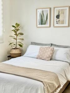 Cozy apartment in Zapopan with a pool