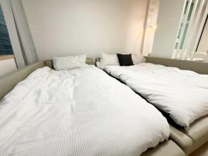 GangNam Suseo Station SRT