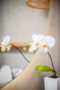 Stylish 2BR Villa few minutes to the beach