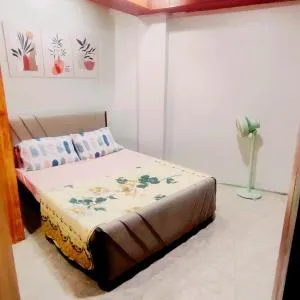 Palash's Budget friendly unit - Loacan