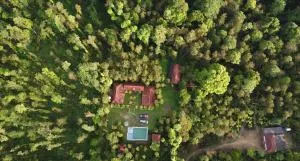 Coffee Breeze Homestay - Swimming Pool and Simple Rooms By Dazzle Destinations - Avathi