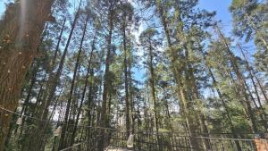 Cabaña Titanic Excelente lugar para descansar