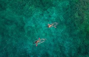 Seven Dreams A Pramana Experience