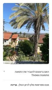 צל האורנים - Mishmār Hāyardin