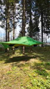 Tree tents Camping "Fight Hill"