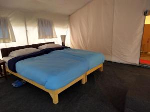 Tso Camp Man Pangong Lake