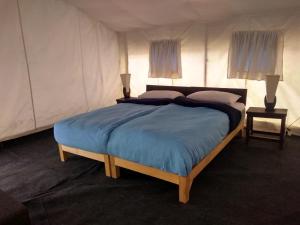 Tso Camp Man Pangong Lake