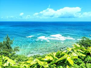 Charming Princeville Studio, AC, Pool, Hot Tub