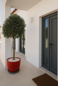 Vila Bem Estar - Comporta - plage de Carvalhal 12 pers