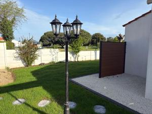 Le pin parasol côte vendéenne