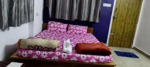 KING of NATURE - Jāmb