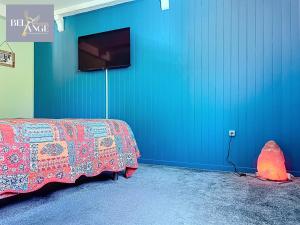 Maisons de vacances Maison spacieuse et climatisee avec jacuzzi : photos des chambres