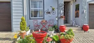 20 Seemeeu Vlug - Bayview