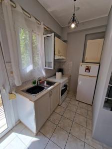 Dianas Cozy 14 Studio