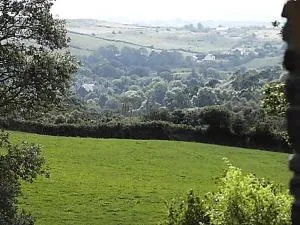 Tranquil cosy cottage - Drishanebeg