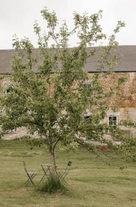 Gite à la Ferme du Ry