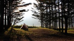 Campings Chalet 3 etoiles - Piscine - ccbafie : Chalet