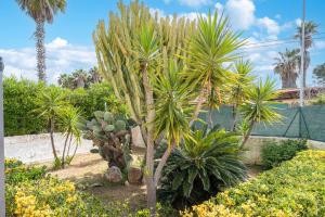 Case Andreina Ognina