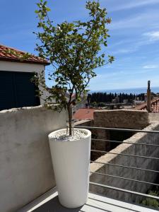 Lemon Tree Dubrovnik Apartments