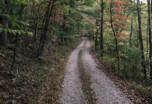 Charming Getaway Rental near the Richland Furnace State Forest in Southern Ohio - Jackson