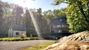 Family-Friendly Getaway with Hot Tub and Games Room in Ripton, Vermont - Addison