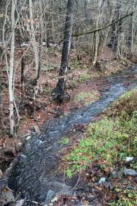 Rustic Sfri Tent on Wonderful Frm Surrounded by Nture for n Amzing Glmping Experience in Otego, New York