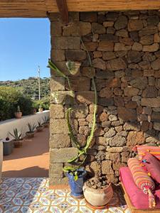 Dammuso Pensare alla Luna