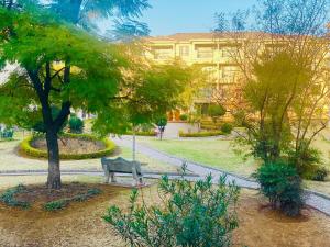 Phoenix Rising Apartment