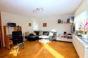 Apartma SONJA KRANJSKA GORA - 戈德马图杰克