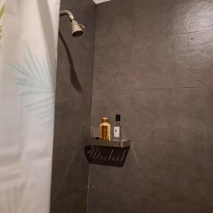 Room by the MANGO TREE