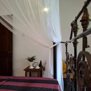 Room by the MANGO TREE