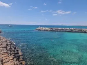 RFB Sal Properties T1 Premium - Palmeira