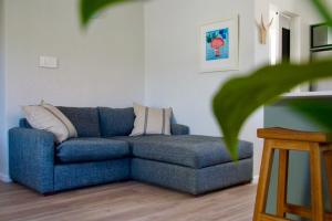 Bright, Modern Studio Apartment