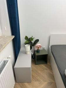 Sky Line Boarding Stay 6 Persons 24 7 Check In