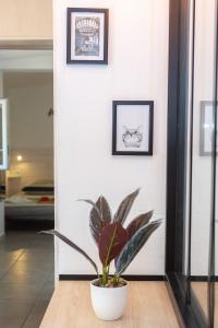 Appartements Chill & Sun - Terrace and parking : photos des chambres