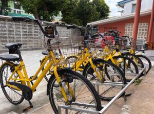 Papaya House Bangkok - Wat Arun
