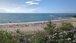 Maisons de vacances Villa bord de mer : photos des chambres