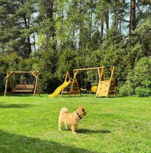 Siedlisko Sapunki dom z duszą rybaka na Warmii