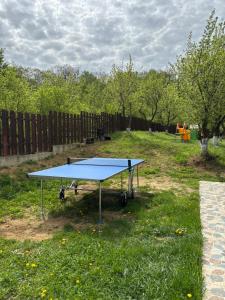 Pensiunea Emelys, Iasi