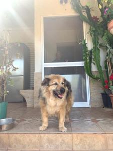 Δωμάτιο με λουτρό σε εξοχικό σπίτι Ραφήνα