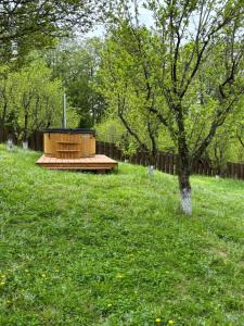 Pensiunea Emelys, Iasi