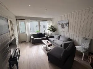 Apart, 4 pers, Central in Odda - 蒂瑟达尔