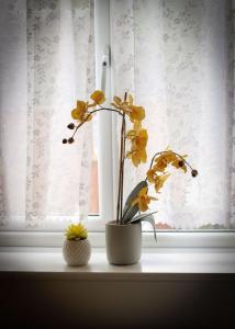 Spacious Modern Townhouse