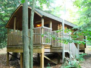 Rustic Cabin Retreat near Muskegon, Michigan